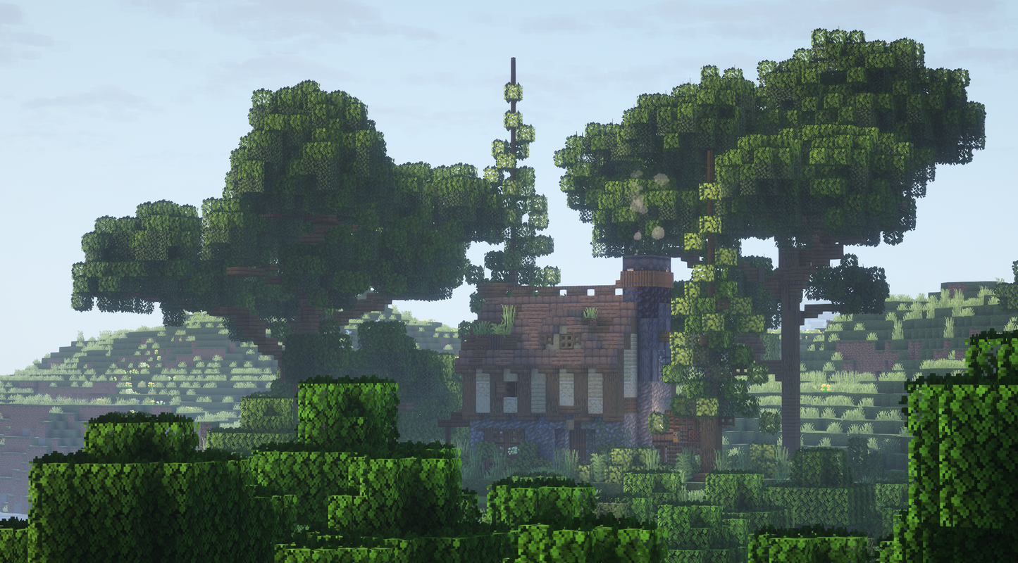 Starter Home