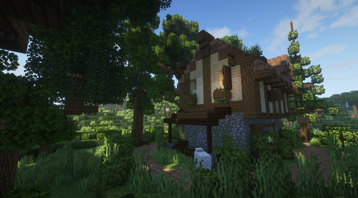Starter Home