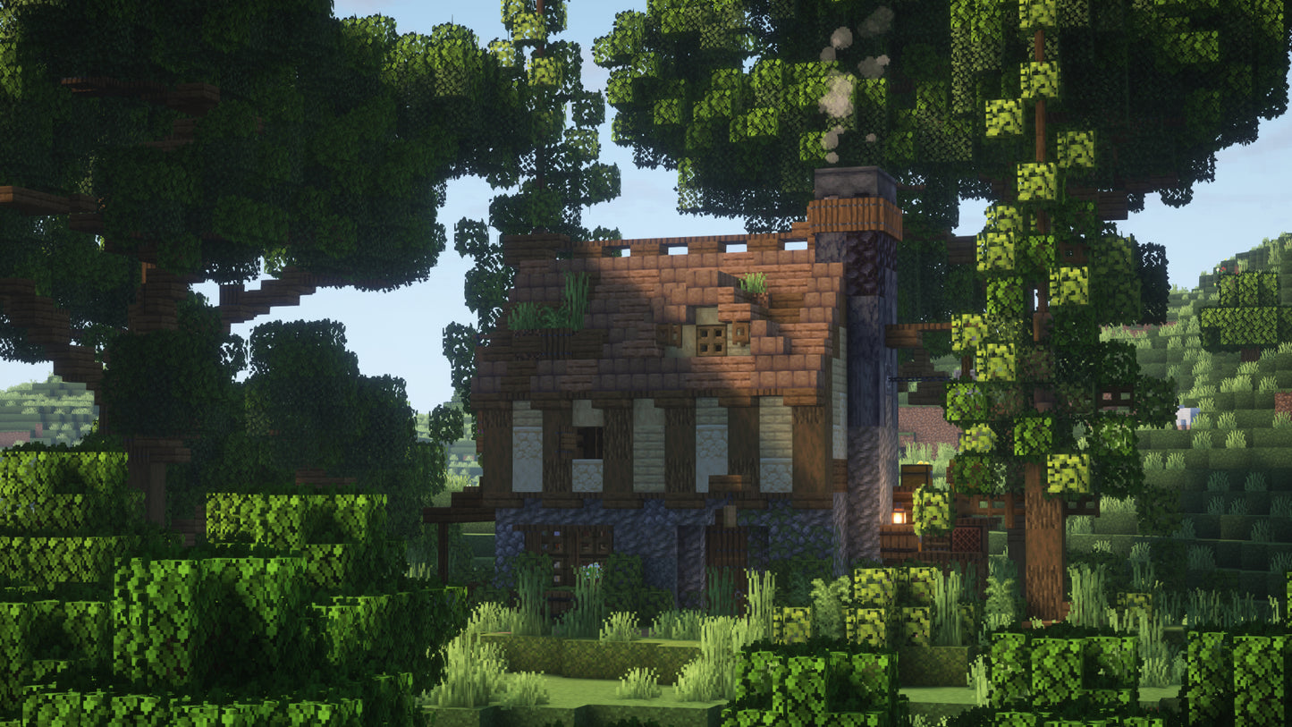 Starter Home