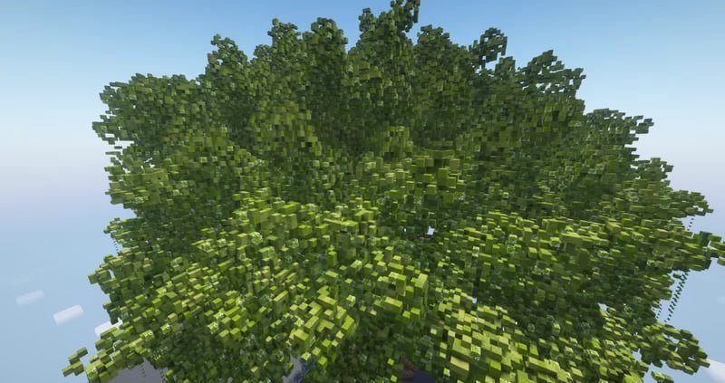 Giant Tree