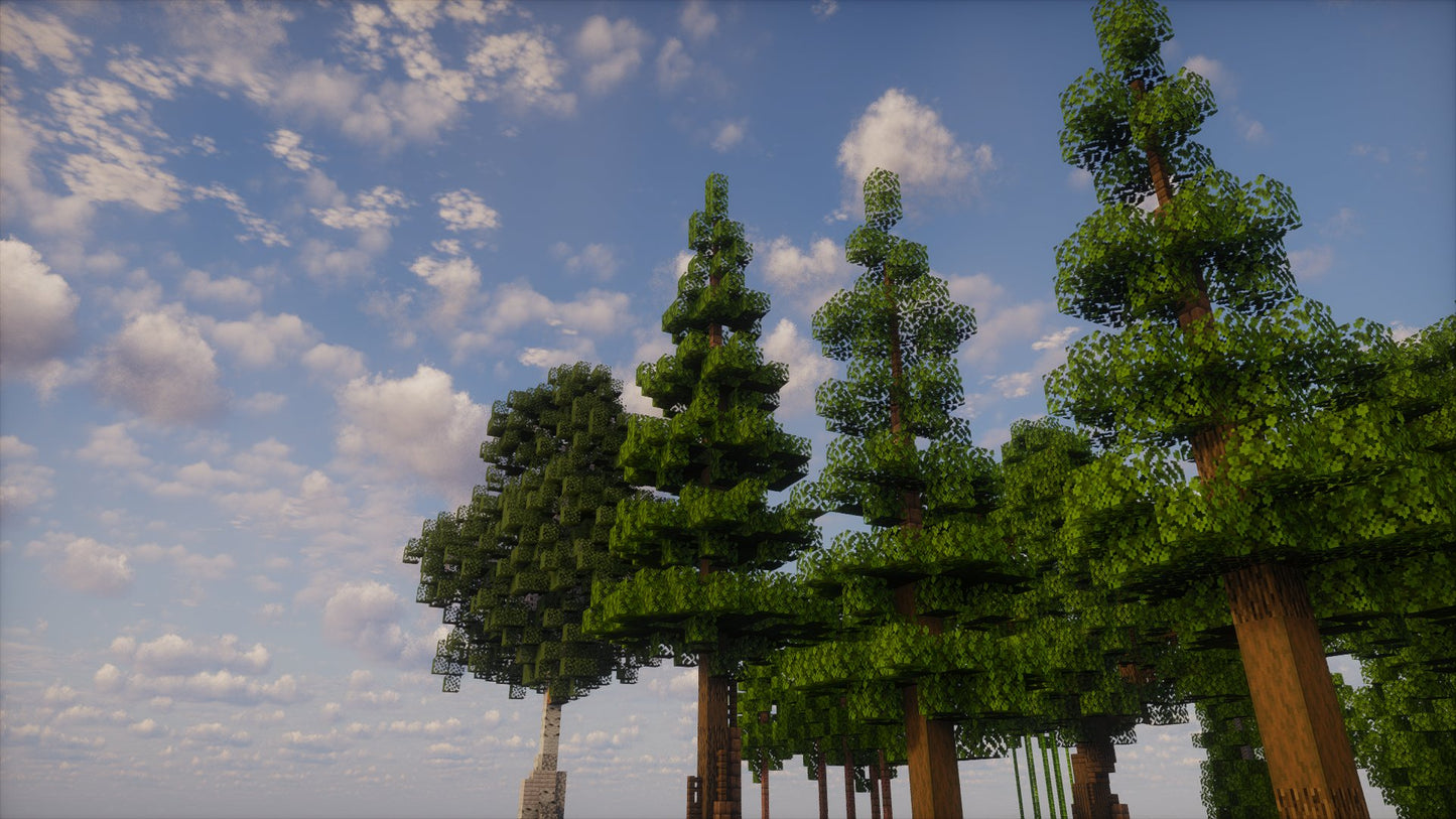 Custom tree collection
