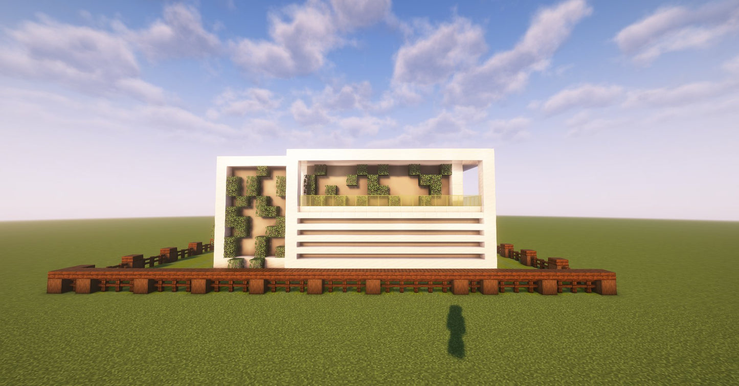 Small Modern Home