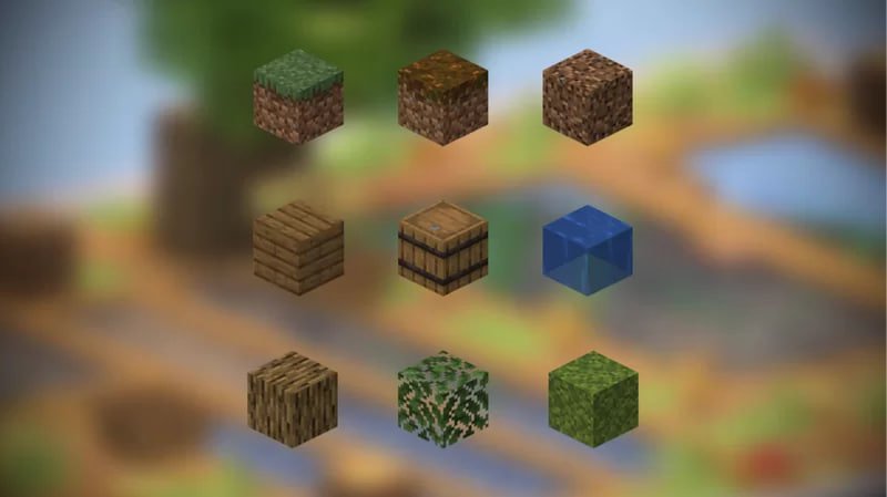 Japanese Rural Paddies