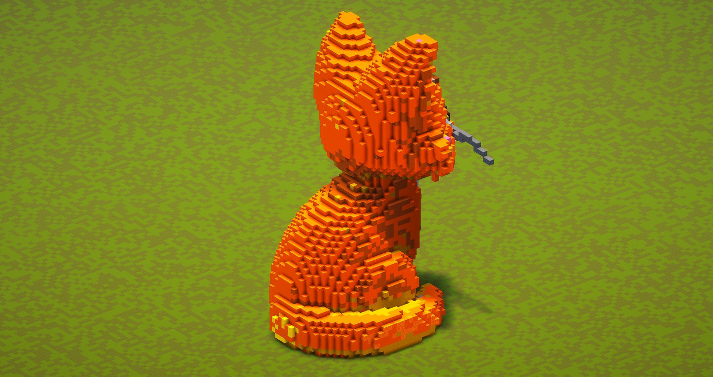 Orange cat