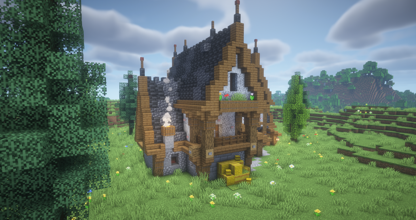 Medieval House