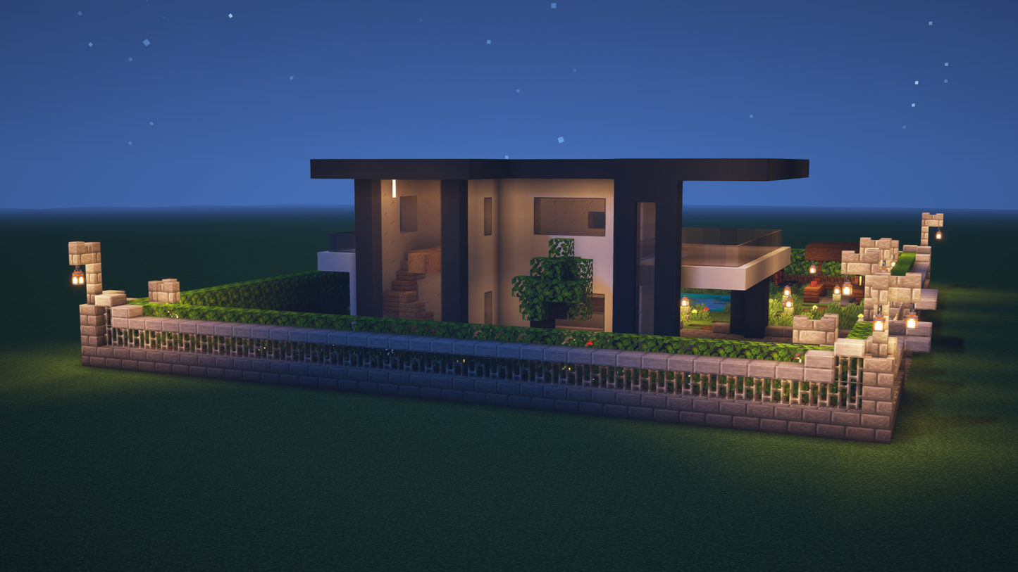 Modern House