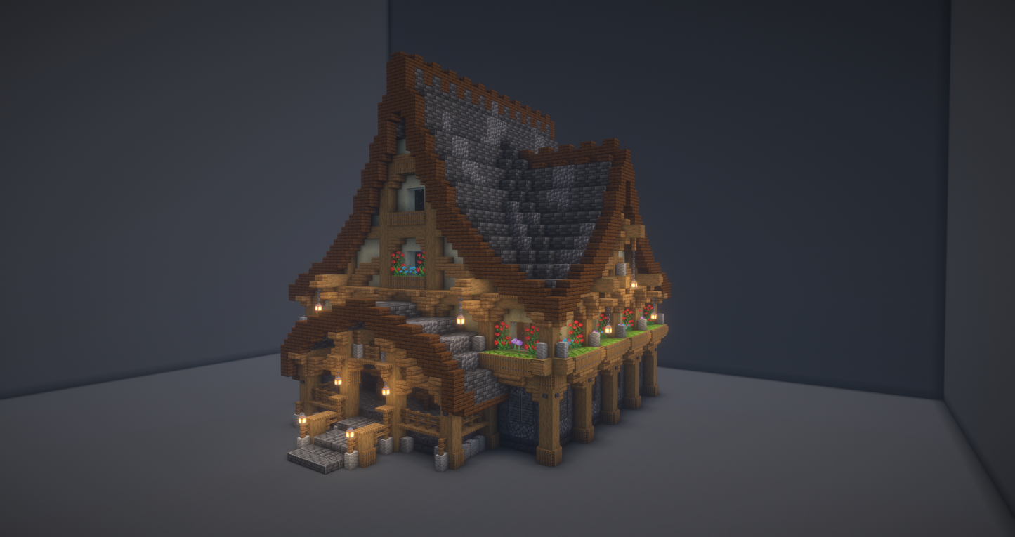 Big Medieval House