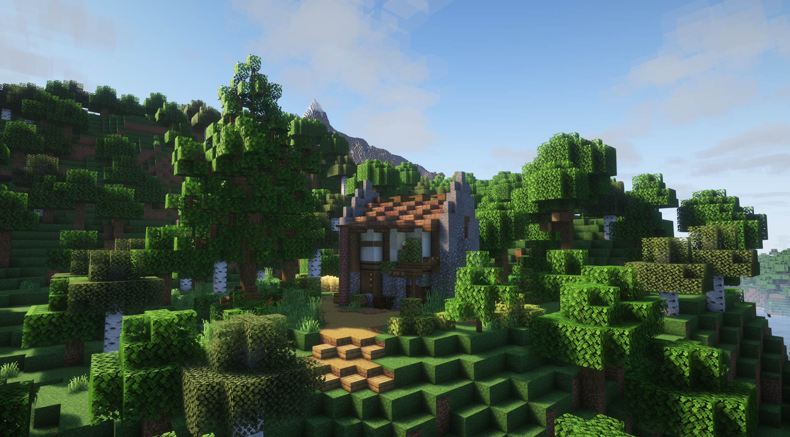 Small Diagonal Starter Home