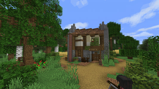 Small Diagonal Starter Home