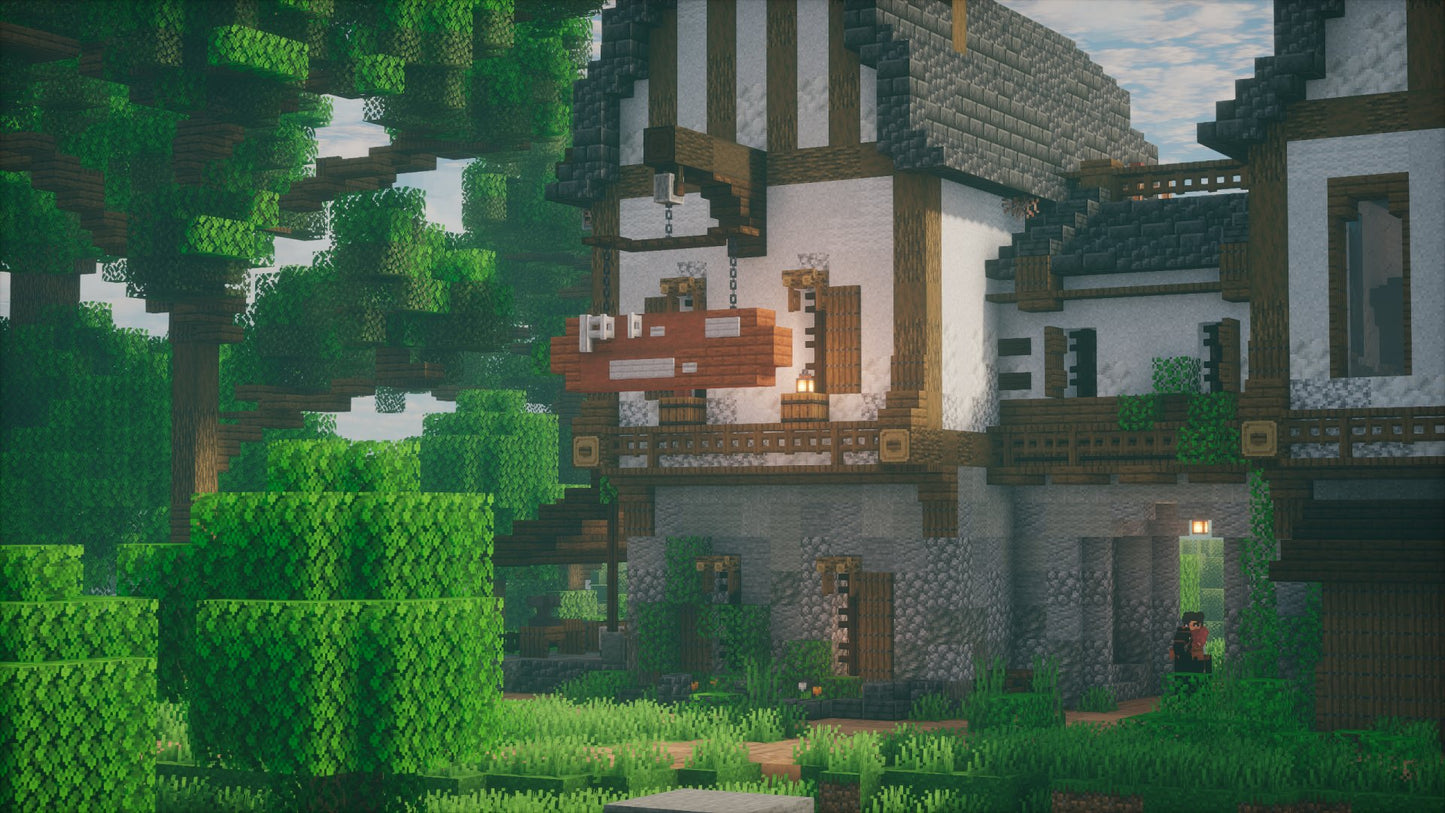 Medieval House