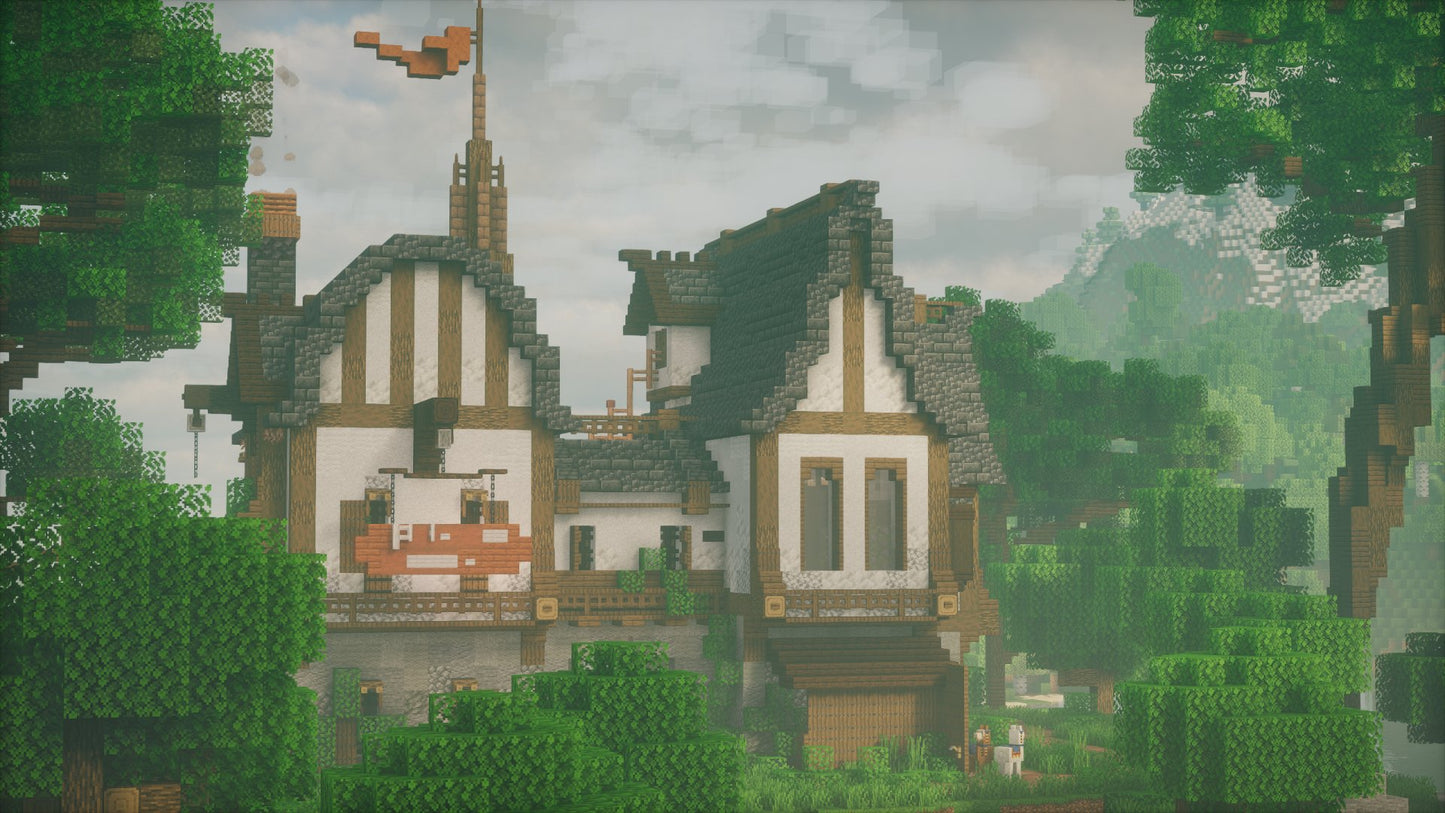 Medieval House