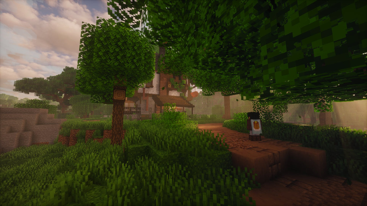 Medieval House