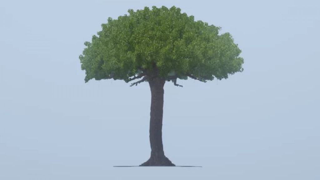Key Image