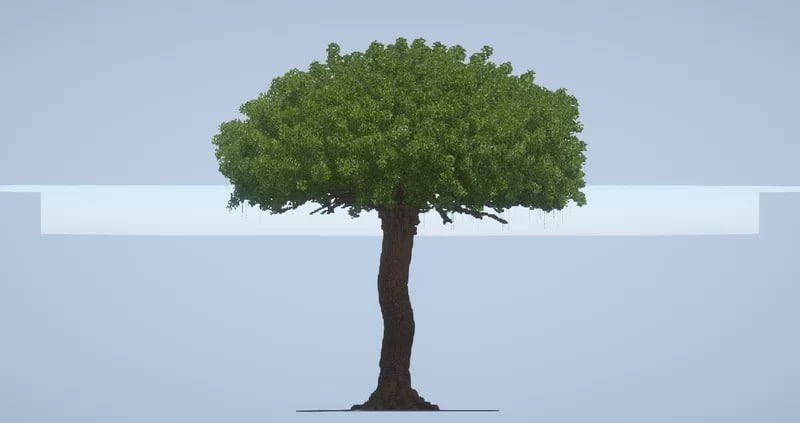 Giant Tree