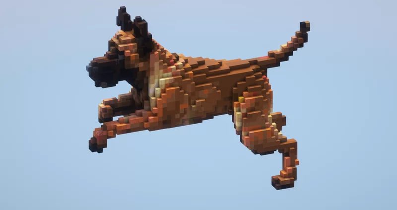Shepherd Dog
