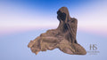 Key Image