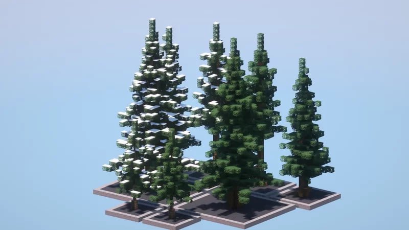 Custom Spuce Tree Custom Spruce Trees Pack – Abfielder Premium Minecraft Downloads