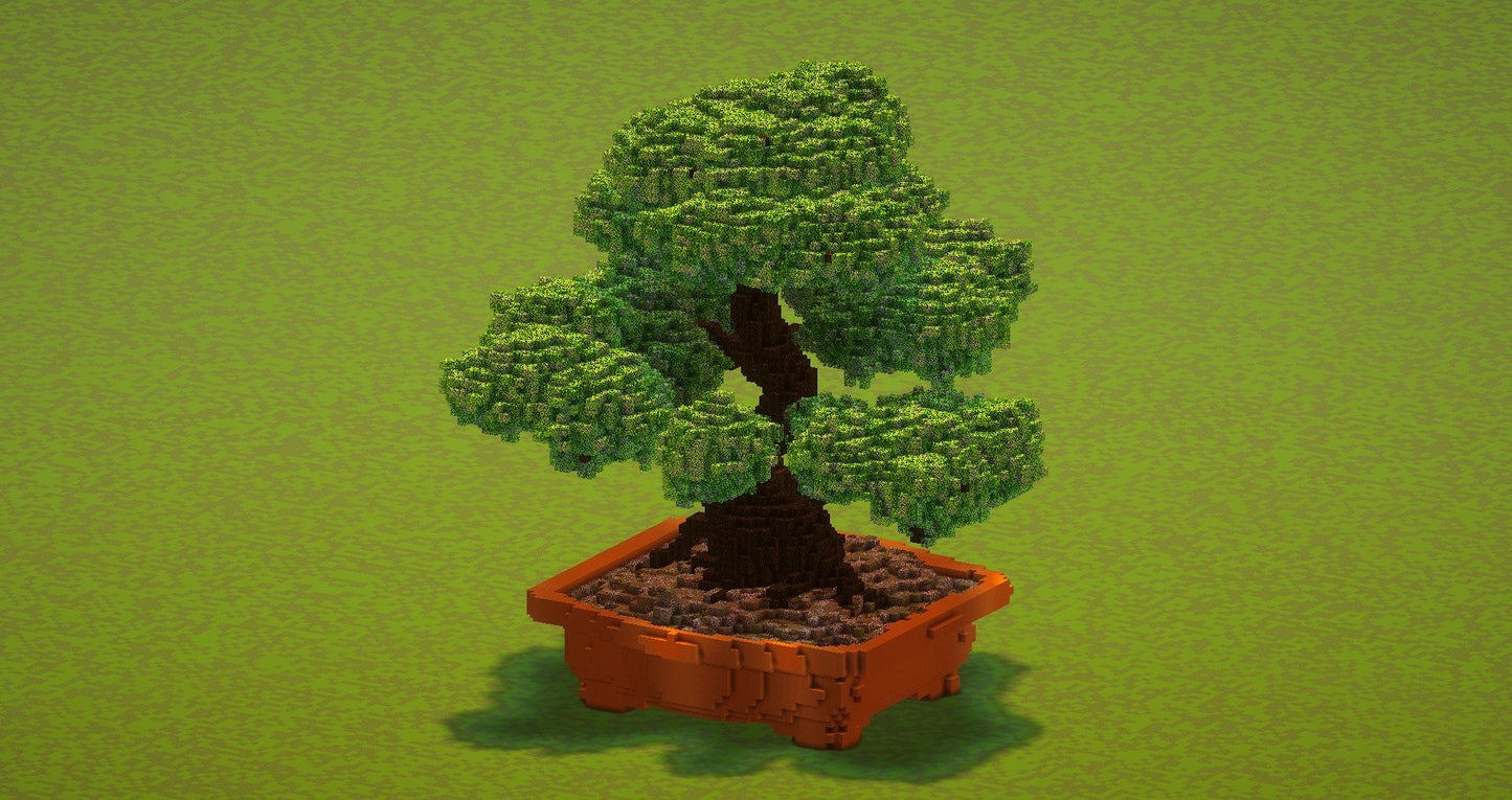 Bonsai tree