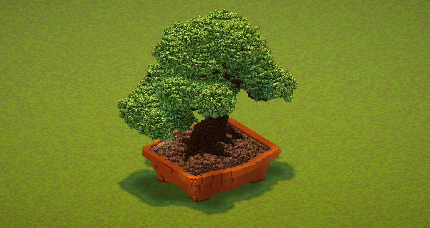 Bonsai tree