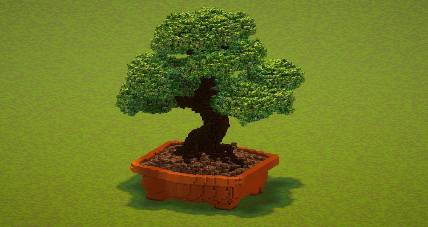 Bonsai tree