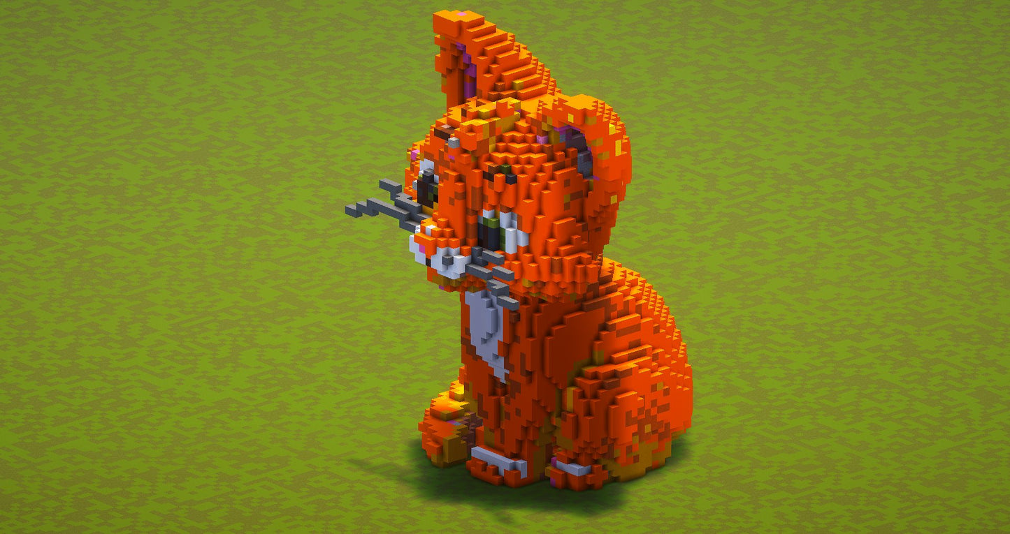 Orange cat