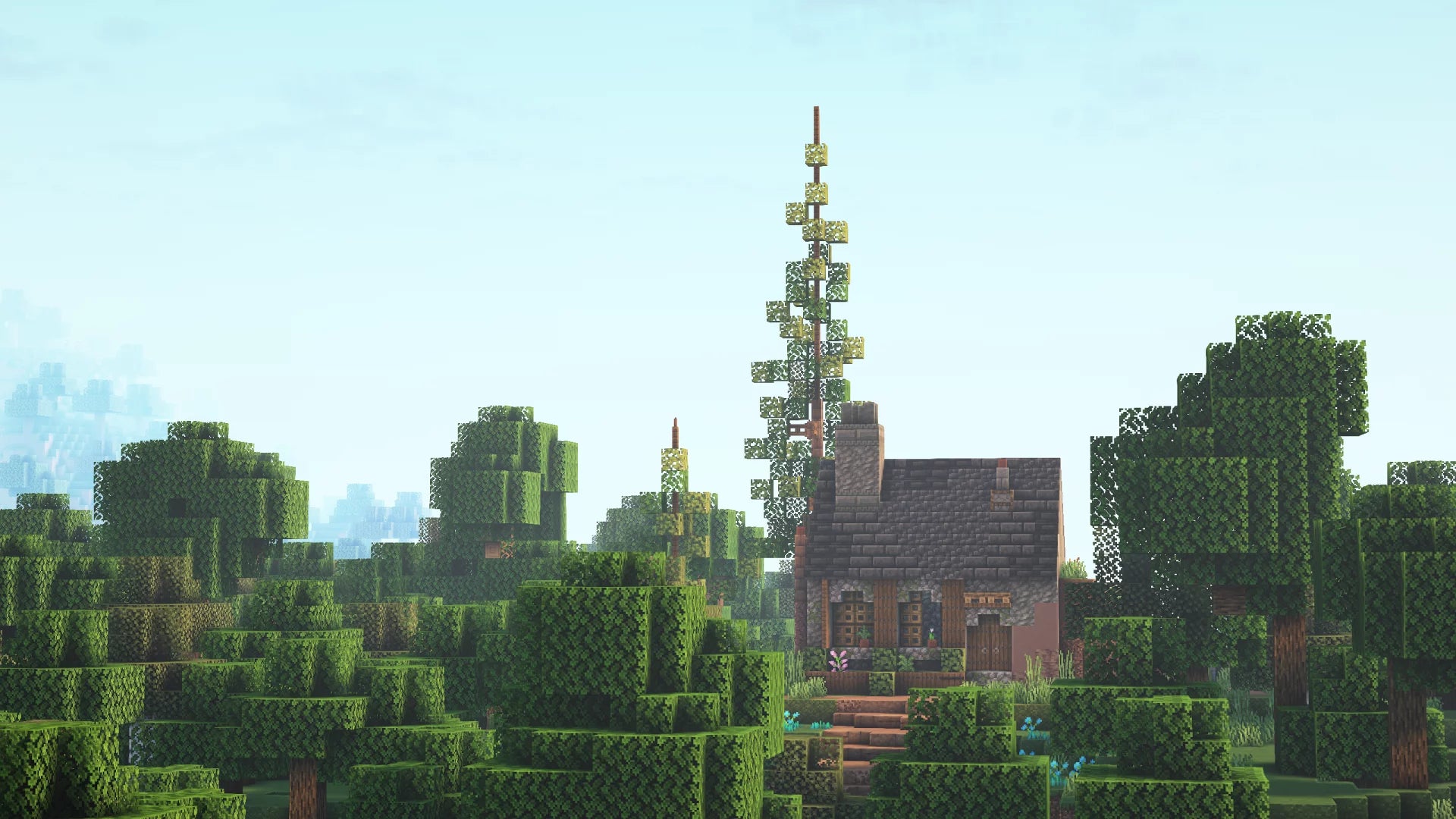 shopify_14680384700739_eaa2b2f3e093ce2a